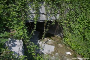 d0b4d0b0d0bbd18cd0bdd0bed0b1d0bed0b9d189d0b8d0bad0b8-d0bfd0bed0b4-d0bdd0bed0b2d0bed180d0bed181d181d0b8d0b9d181d0bad0bed0bc-d183d181