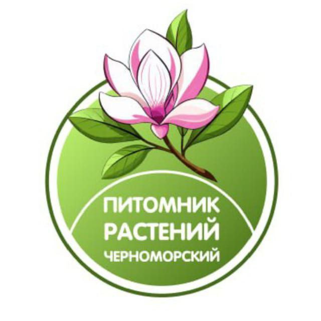 Питомник Черноморский в Раевской.